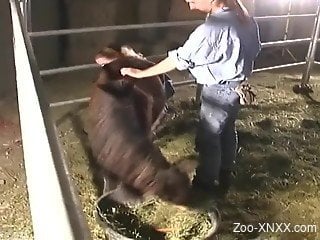 Two horny babes with strap-ons fucking a mare